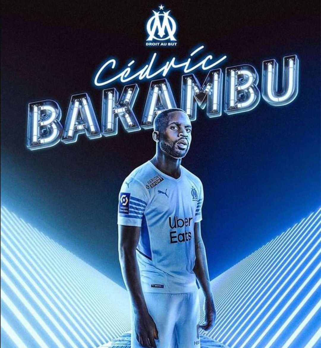 部分公牛球 部分公牛球