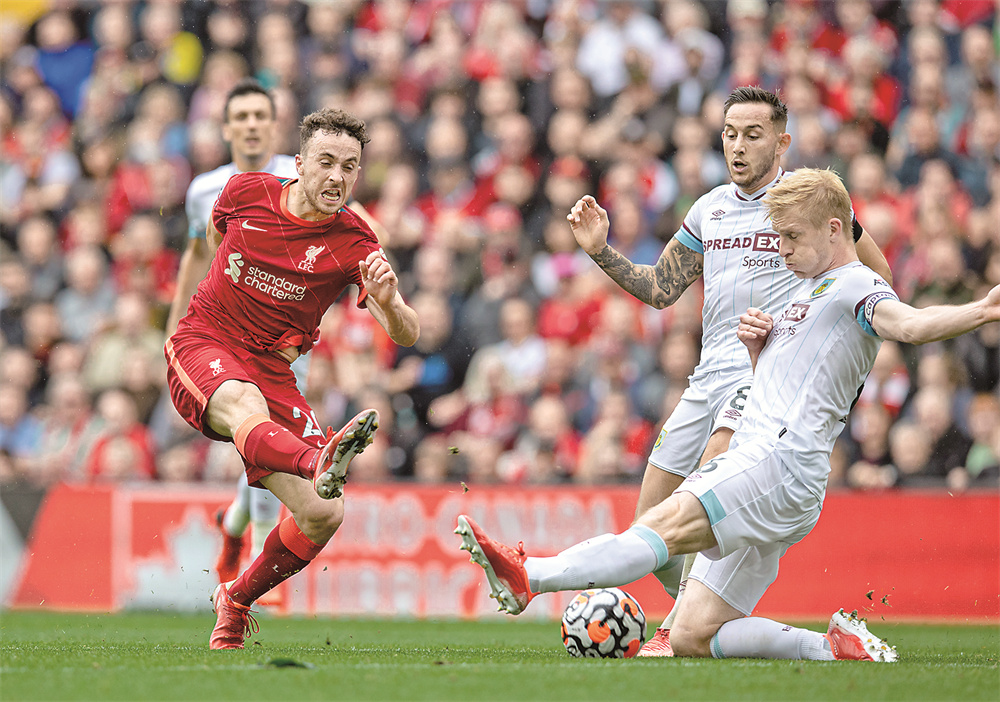 河南吉象 河南吉象